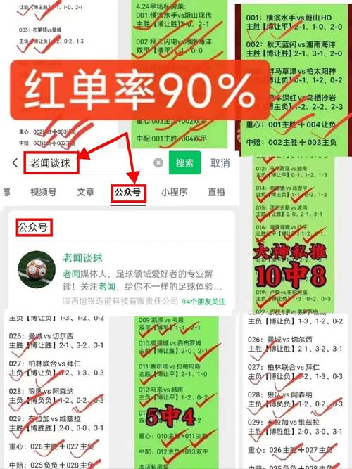 B体育专家预测:世界杯赛前分析及最佳投注策略全解读,世界杯预选赛投注