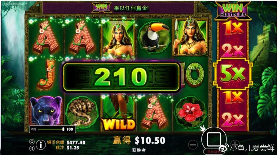 B体育平台推出PP电子主题活动,为玩家提供专属优惠和限时挑战赛,b0b体育平台涉案
